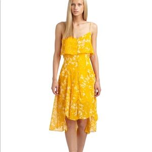 W118 by Walter Baker Tiffany printed chiffon dress